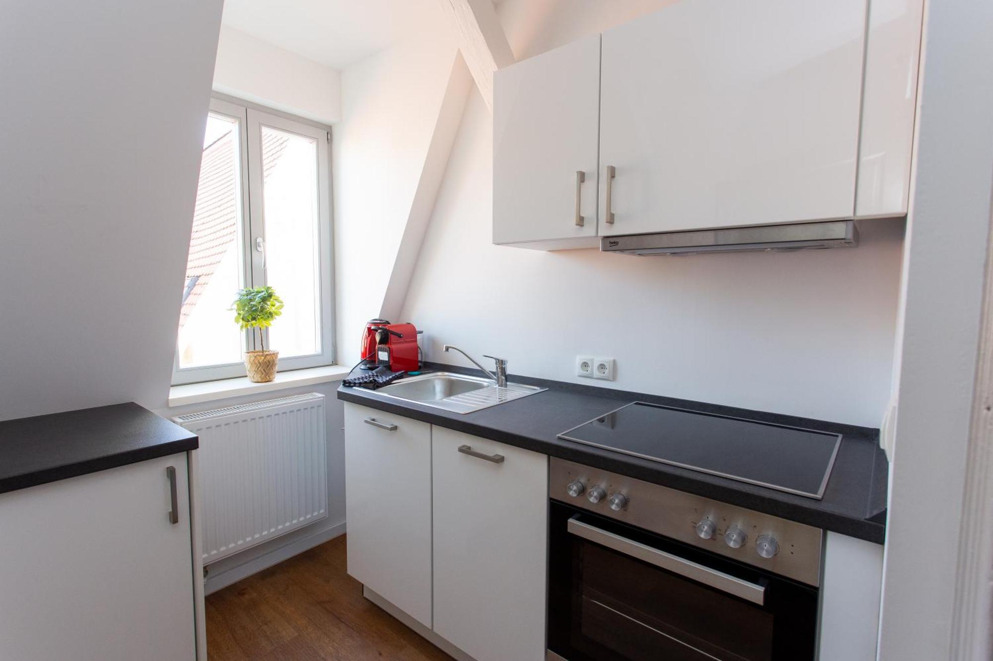 Fullhouse - Halle - M14 - Marketplace - Wonderful View Apartment Halle (Saale)